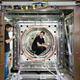 Illustration for article titled This Magnetic Shield Will Push the Boundaries of Particle Physics